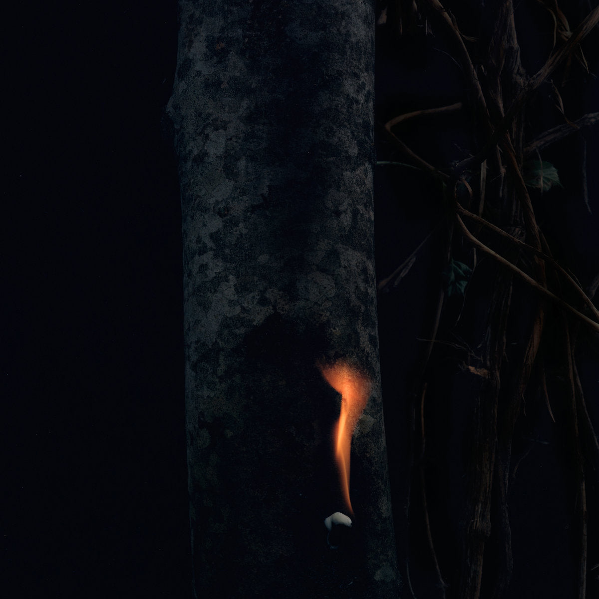 BZDB – Jump Ship, Sit Lean, Be Still, Stand Tall (LP, AD 93, 2024) Front Cover