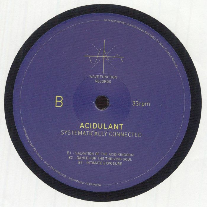 Acidulant – Systematically Connected (12", Wave Function Records, 2026) Back Cover