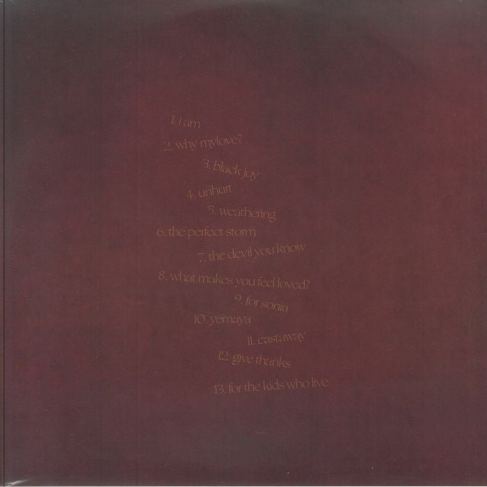 Aja Monet – When The Poems Do What They Do (2xLP, Gatefold, Drink Sum Wtr, 2024) Back Cover