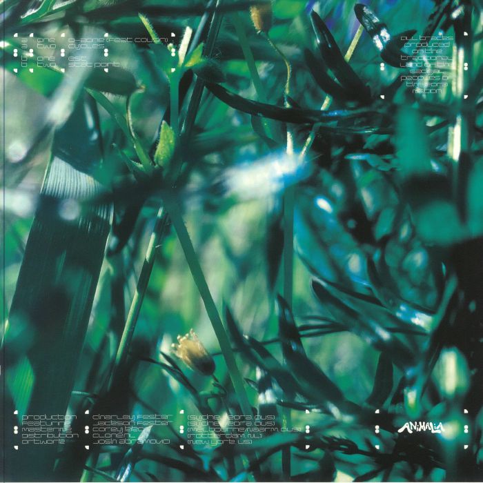 Command D – Esc (12", Animalia, 2024) Back Cover