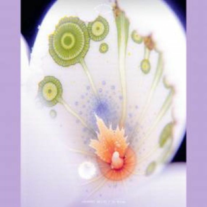 Courtney Bailey – In Dream (LP, Second Circle, 2025) front cover