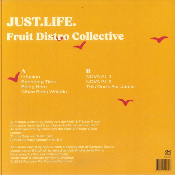 Fruit Distro Collective – JUST.LIFE. (LP, Records We Release Records, 2025) Back Cover