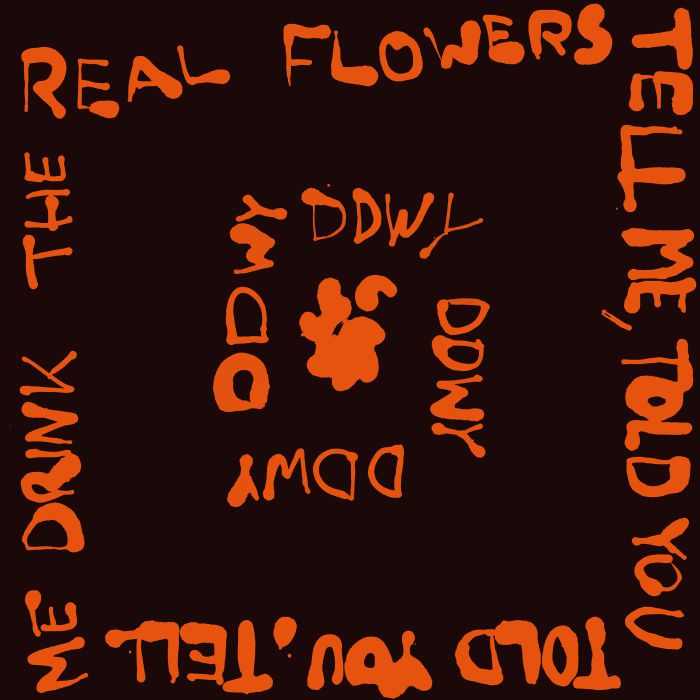 Ddwy – Tell Me Told You (12", Public Possession, 2026) Front Cover