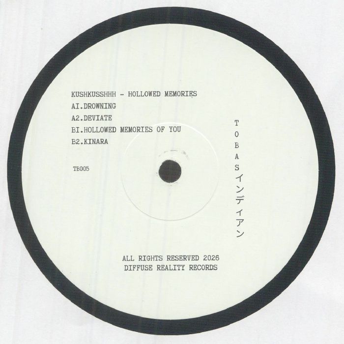 Kushkusshhh – Hollowed Memories (12", Diffuse Reality, 2026) Back Cover