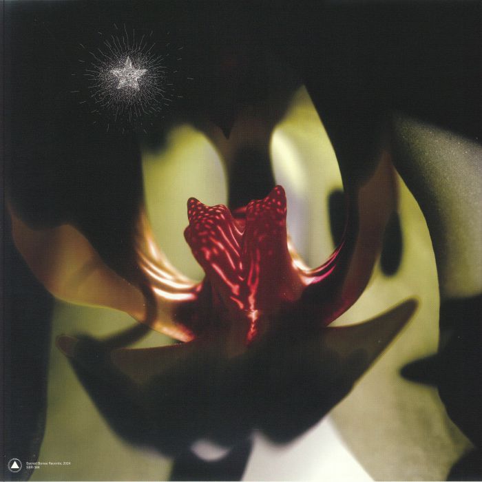 Chrystabell David Lynch – Cellophane Memories (LP, Clear, Sacred Bones Records, 2024) Back Cover