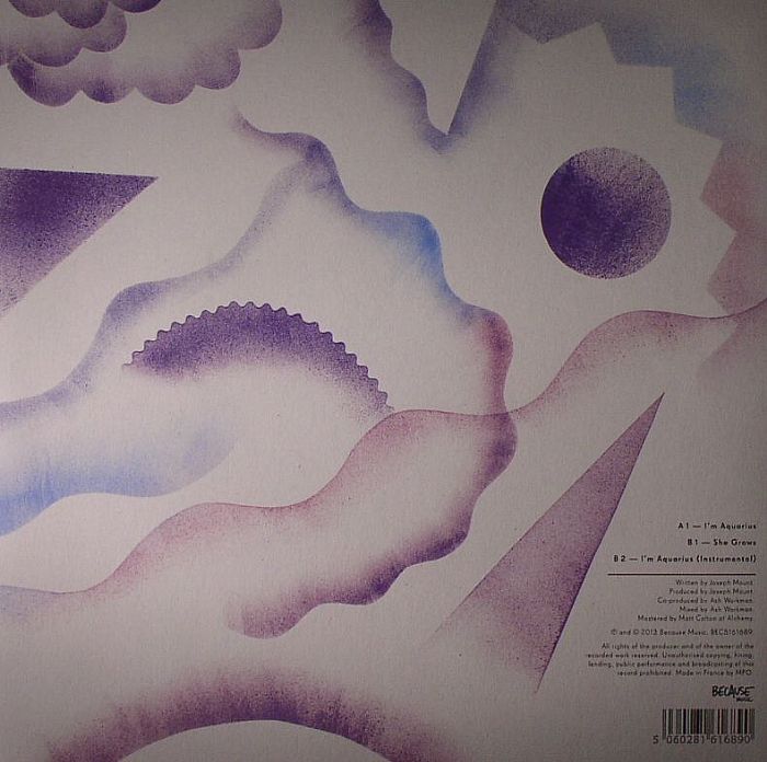 Metronomy – I'm Aquarius (12", Because Music, 2013) Back Cover