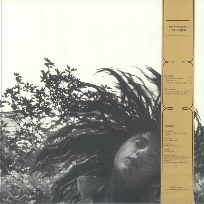 Natura Morta – Un Pensiero Intrusivo (LP, Disques de la Spirale, 2025) Back Cover