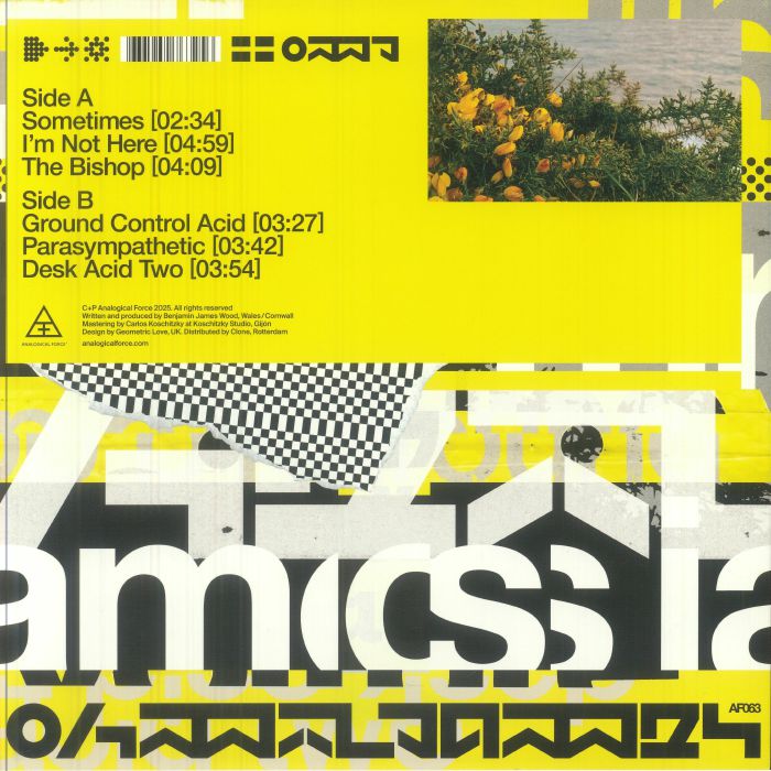 Oh Mr James – I'm Not Here EP (12", Yellow, Analogical Force, 2025) Back Cover