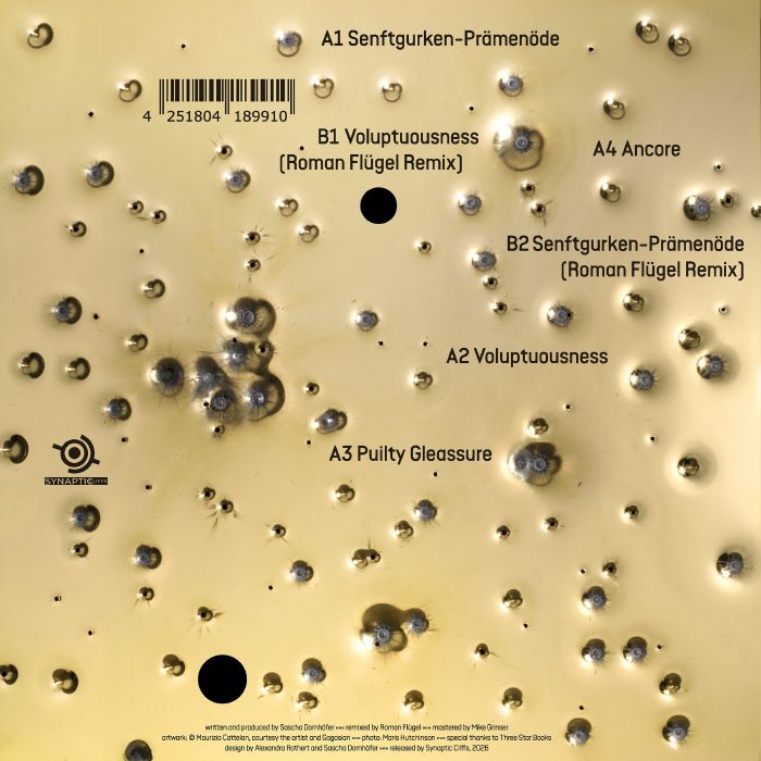 pdqb – Direct Hits (12", Gold & Black, Synaptic Cliffs, 2026) Back Cover