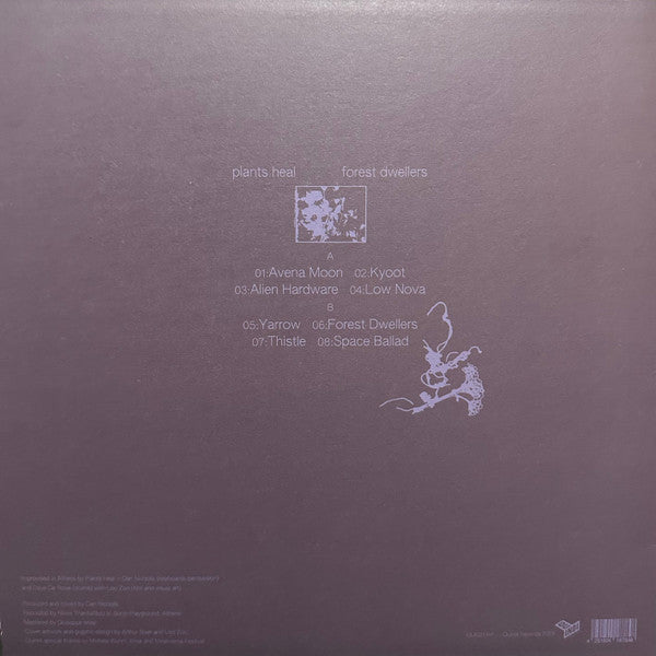 Plants Heal – Forest Dwellers (LP, Quindi Records, 2025) image 02
