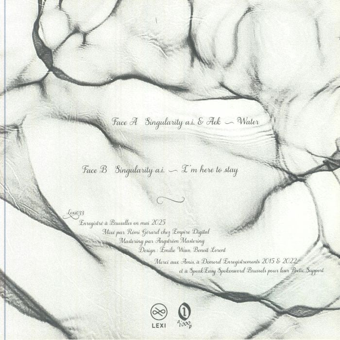 Singularity Ai / Aek – Showtime (7", Lexi Disques, 2025) Back Cover