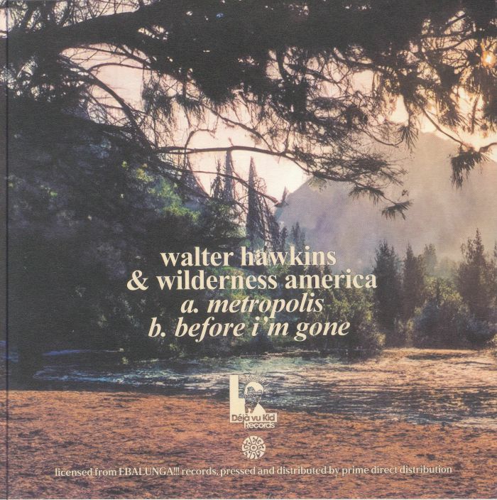 Walter Hawkins Wilderness America – Metropolis / Before I'm Gone (7", Déjà vu Kid Records, 2024) Back Cover