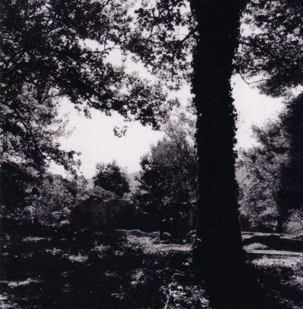 Yosi Horikawa – Spaces (CD, Borrowed Scenery, 2019) Image 5