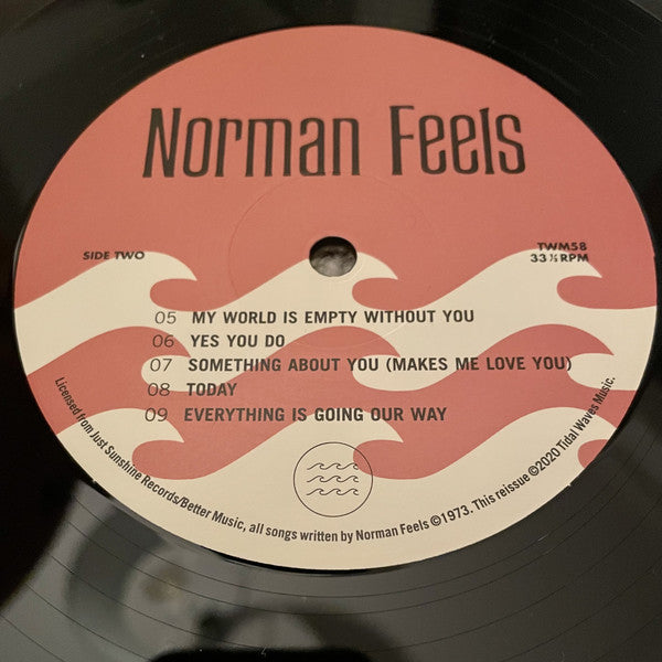 Norman Feels – Norman Feels (LP, 180g, Tidal Waves Music, 2020) Image 4