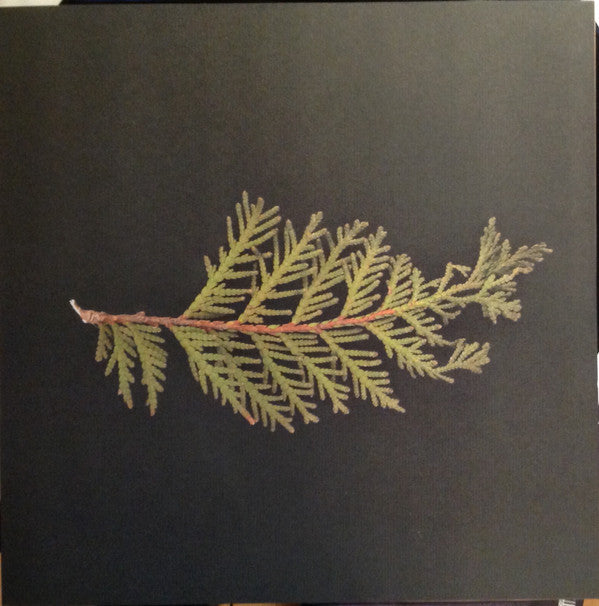 Magnolia Electric Co. – Josephine (LP, Secretly Canadian, 2009) Image 5