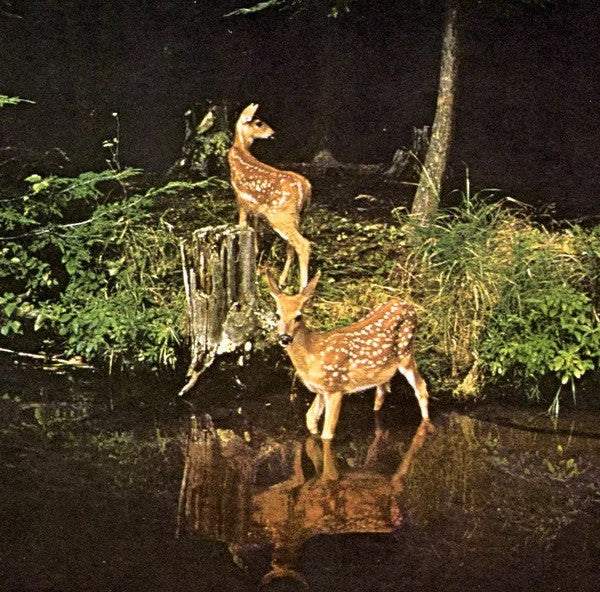 Chris Davis – Live at Post Terrestrial (CDr, Debacle Records, 2014) Front Cover