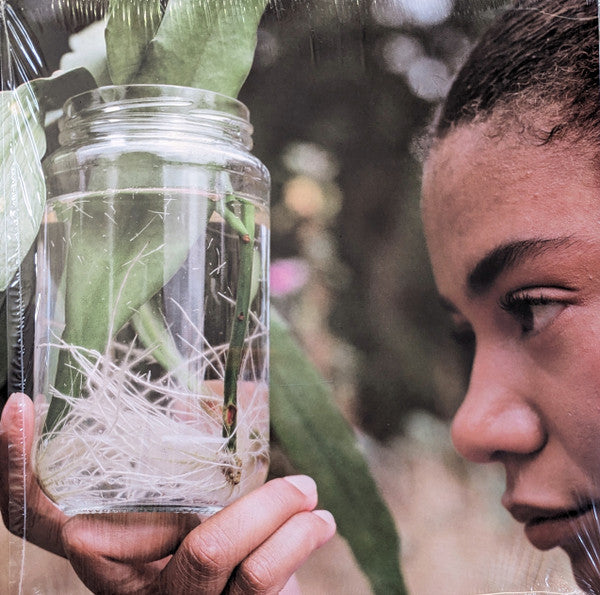 Duval Timothy – Meeting With A Judas Tree (LP, Purple Translucent Inside Clear, Carrying Colour, 2022) Back Cover