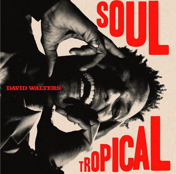 David Walters : Soul Tropical (2xLP, Album)