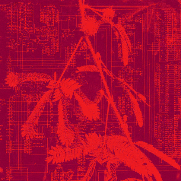 Hidden Horse – Incorporeal (LP, Holuzam, 2023) Front Cover