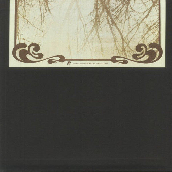 Bulbous Creation – You Won't Remember Dying (LP, Numero Group, 2023) Back Cover