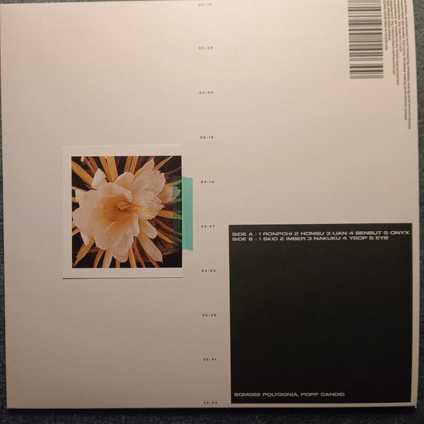 Polygonia, Popp (6) : Candid (LP)