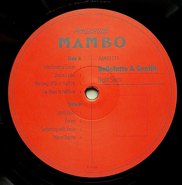 Bellofatto & Gentile : Night Swim (LP)