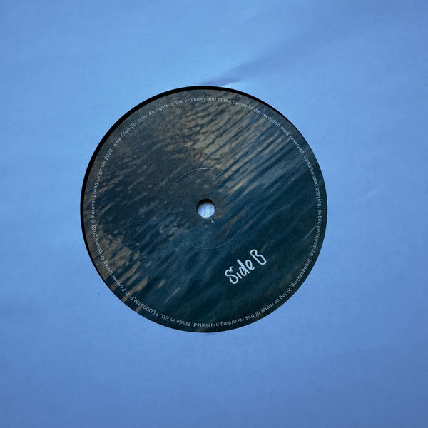 Cleo Sol – Gold (LP, Forever Living Originals, 2024) Image 4