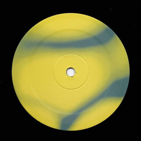 3.11 – Illuminate (LP, PRS, 2021) Image 3