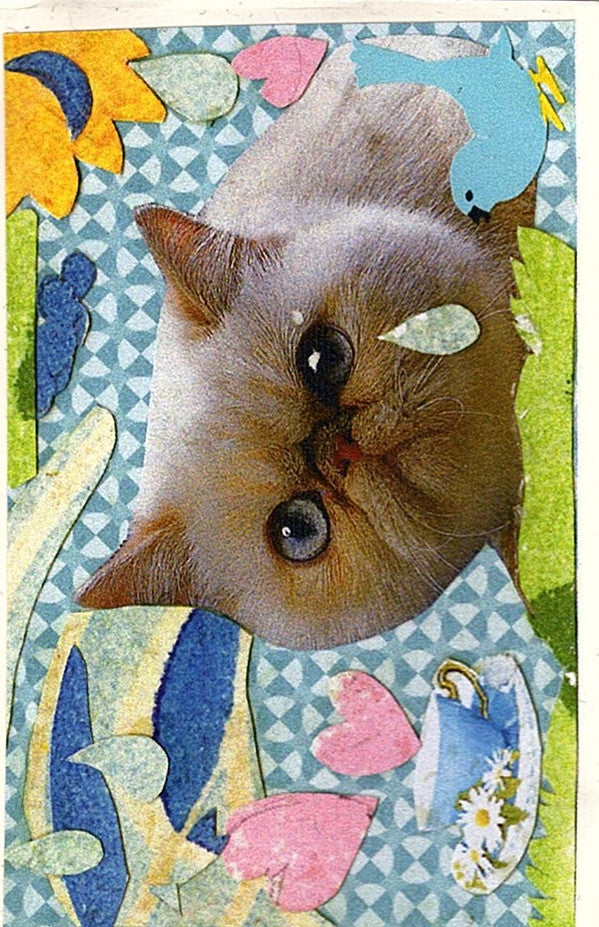 PLVS VLTRA – Yo-Yo Blue (Cassette, Field Hymns, 2013) Image 5