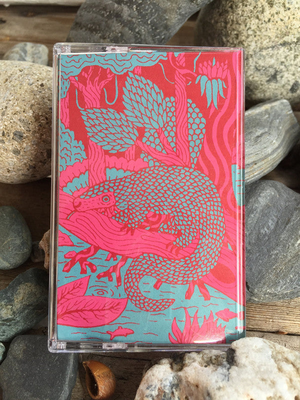 Jake Blanchard – Colour Discolour (Cassette, Eiderdown Records, 2016) Front Cover