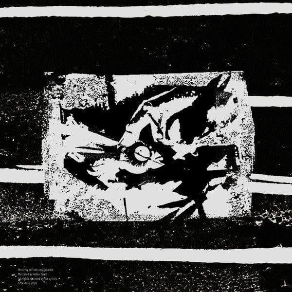 Animistic Beliefs - Thief Of Sanity (12", Ltd, RP) brokntoys