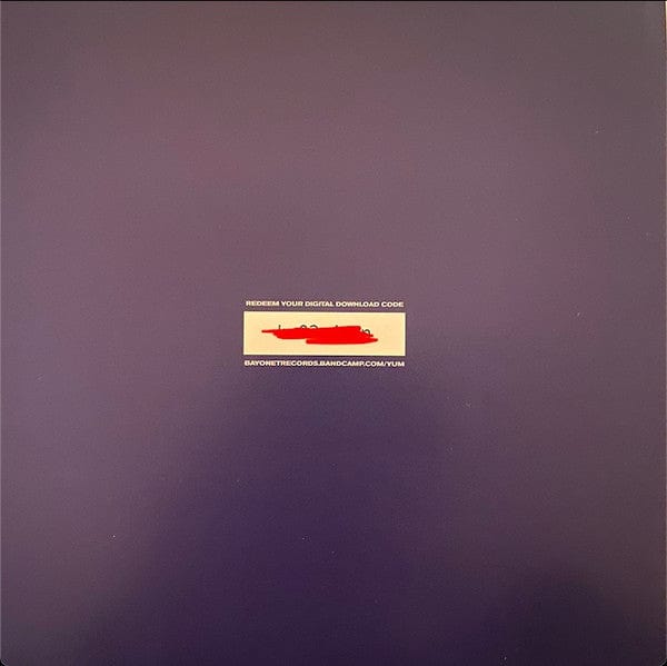 Beach Fossils - The Other Side Of Life: Piano Ballads (LP) Bayonet Records Vinyl 616967549973