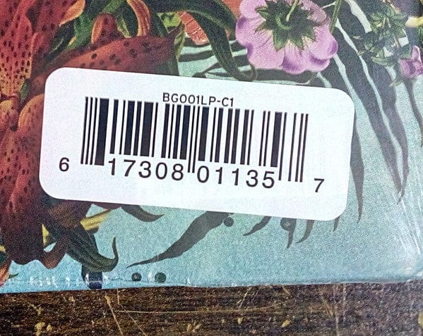 Big Gigantic - Brighter Future (2xLP) Not On Label (Big Gigantic Self-released) Vinyl 617308011357