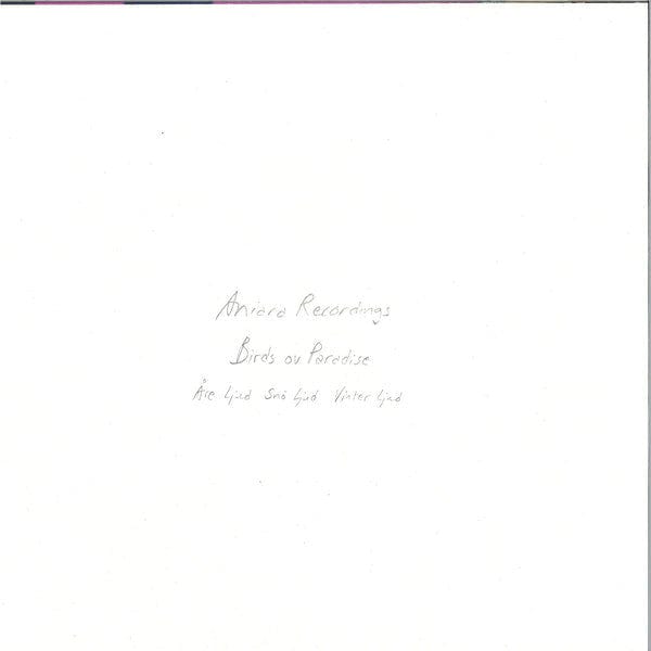 Birds Ov Paradise – Vinter Ljud (12", Aniara Recordings, 2019) Image 4