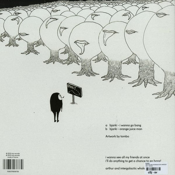 Bjarki - Артур И Интергалактические Киты = Arthur And Intergalactic Whales (12") трип Vinyl 5060376938739