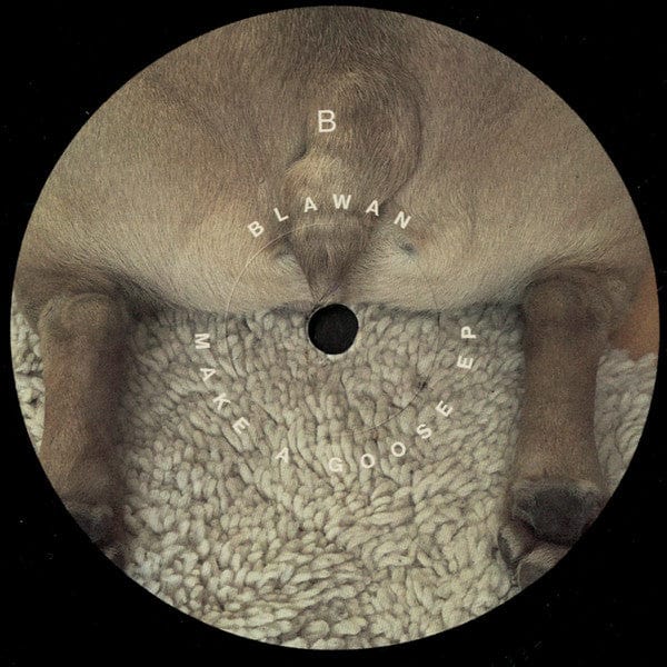 Blawan – Make A Goose EP (12", Ternesc, 2021) Image 4
