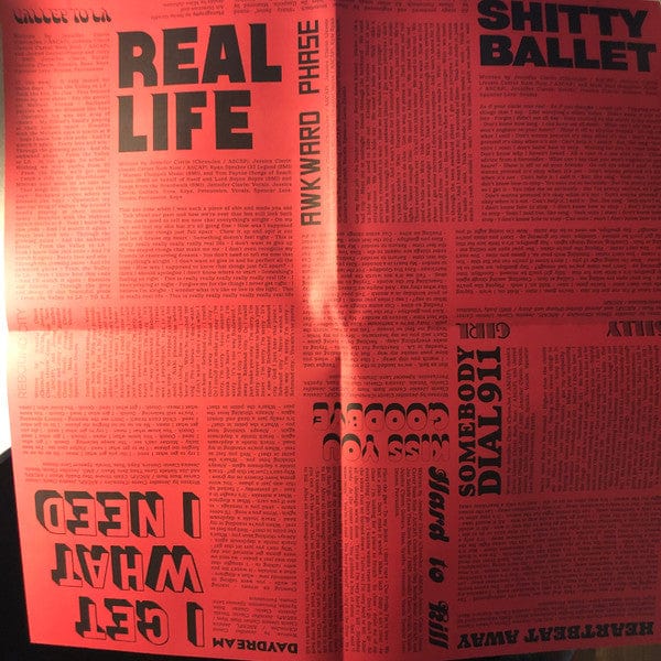 Bleached – Don't You Think You've Had Enough? (LP, Dead Oceans, 2019) Image 5