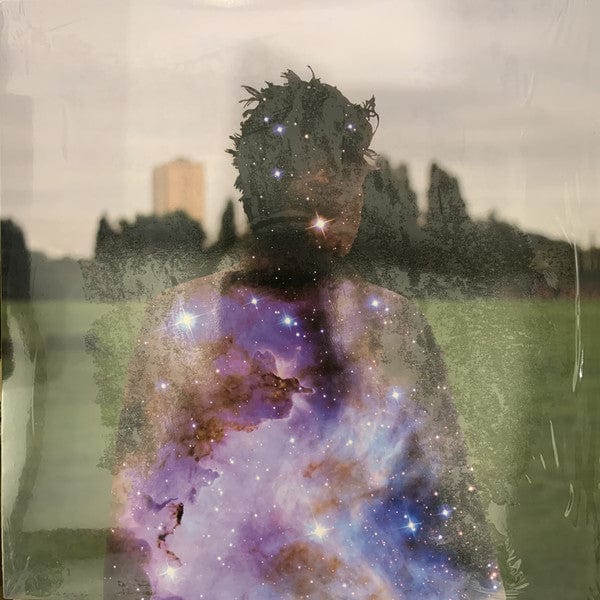 Brother Nebula – The Physical World (2x12", Legwork, 2020) Front Cover