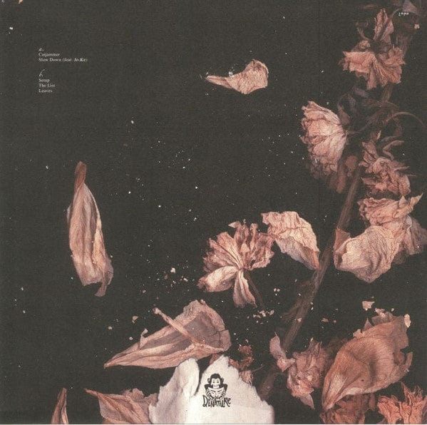 Christopher Schwarzwälder – Leaves (12", Denature Records, 2018) Back Cover