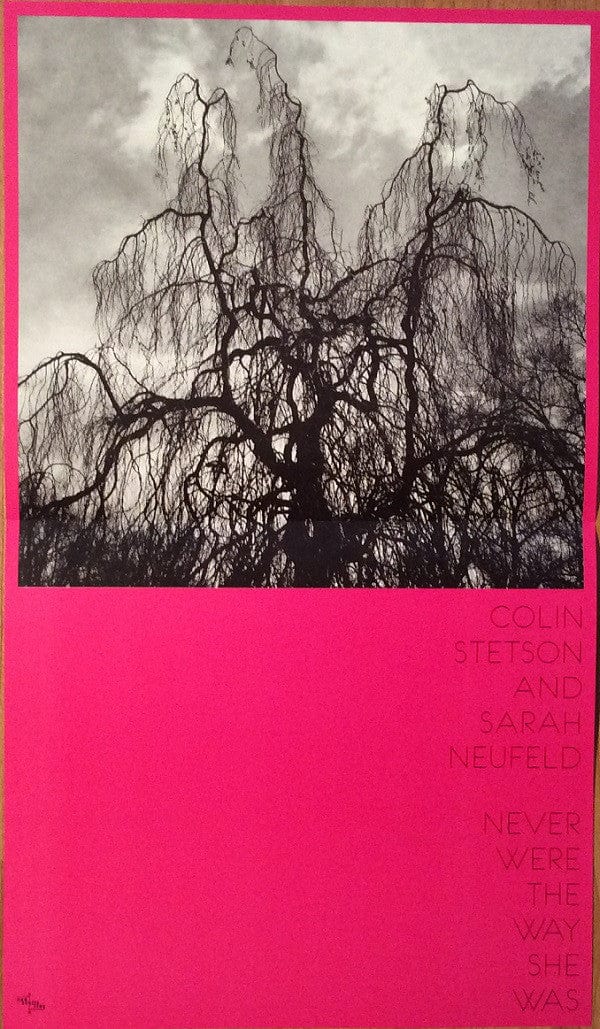 Colin Stetson Sarah Neufeld – Never Were The Way She Was (LP, 180 g, Constellation, 2015) Image 5