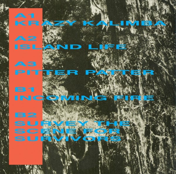 Crotocosm – Setting The Scene For An Island Battle (12", No 'Label', 2018) Back Cover