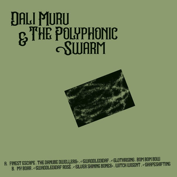 Dali Muru & The Polyphonic Swarm – Dali Muru & The Polyphonic Swarm (LP, Stroom, 2021) Front Cover