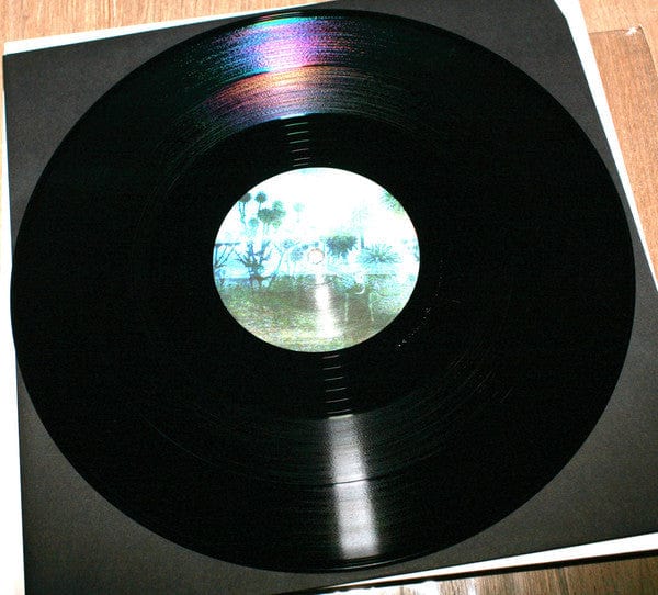 Dasha Rush – Sleepstep - Sonar Poems For My Sleepless Friends (2x12", Raster-Noton, 2015) Image 5