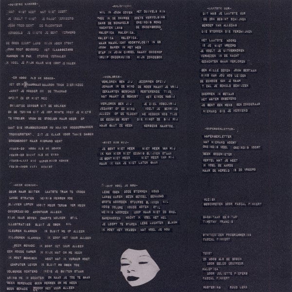 De Ambassade – Duistre Kamers (LP, Knekelhuis, 2019) Image 5