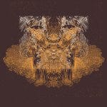 Decimus - Decimus #11 (LP) Digitalis Recordings Vinyl