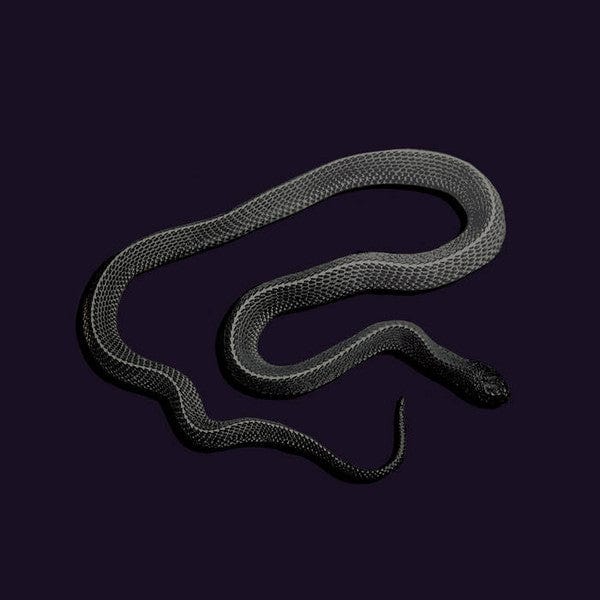 DJ Nephil / Golpe Erotico - Plasma Phenomenon (12") Gravitational Waves Vinyl