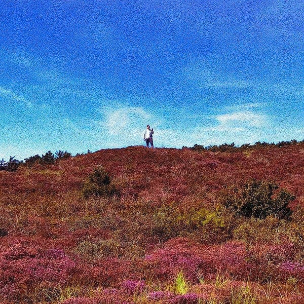 Dreamcast – Floral Place (7", Peoples Potential Unlimited, 2018) Image 3
