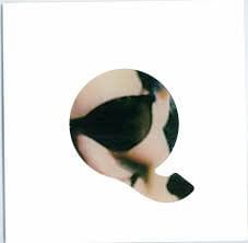 Elitechnique - Flash / Le Physique Et Le Figuré (7") Disques Panoramiques Vinyl