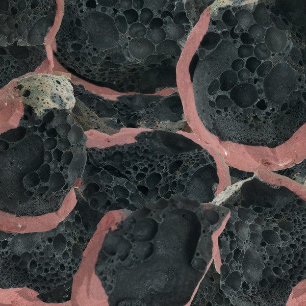 Eric Chenaux – Say Laura (LP, Constellation, 2022) Front Cover