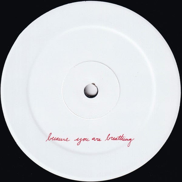 Explosions In The Sky – The Earth Is Not A Cold Dead Place (LP+12", Temporary Residence Limited, 2016) Image 5